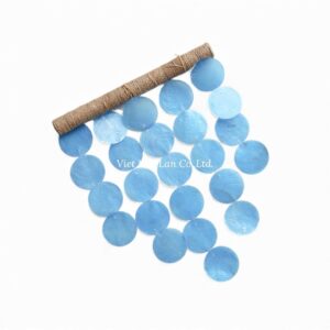 Rustic Shell Wall Decor